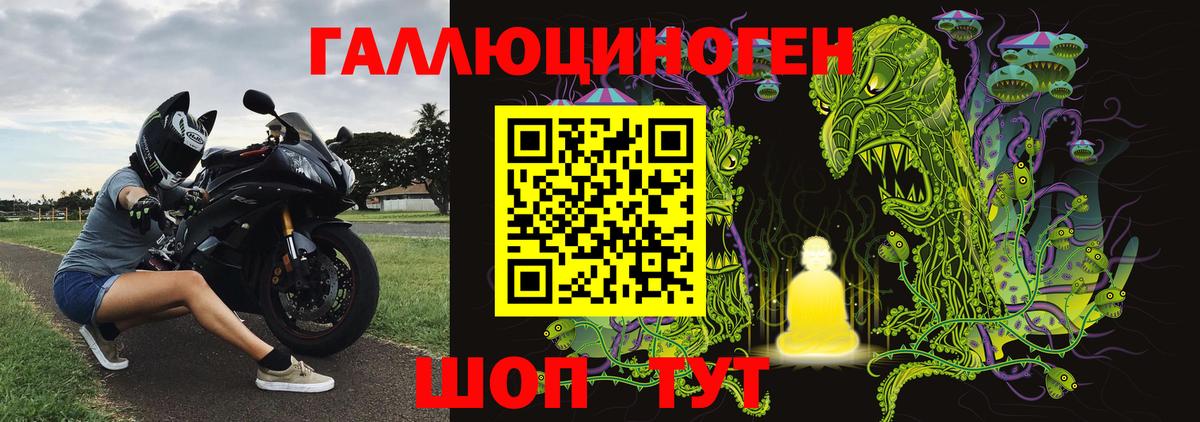 Псилоцибиновые грибы Psilocybe  Вход с VPN  Бор  Псилоцибиновые грибы Magic Shrooms 
