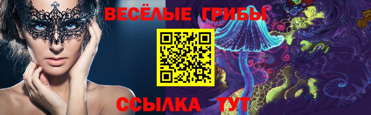 Галлюциногенные грибы мицелий Бор